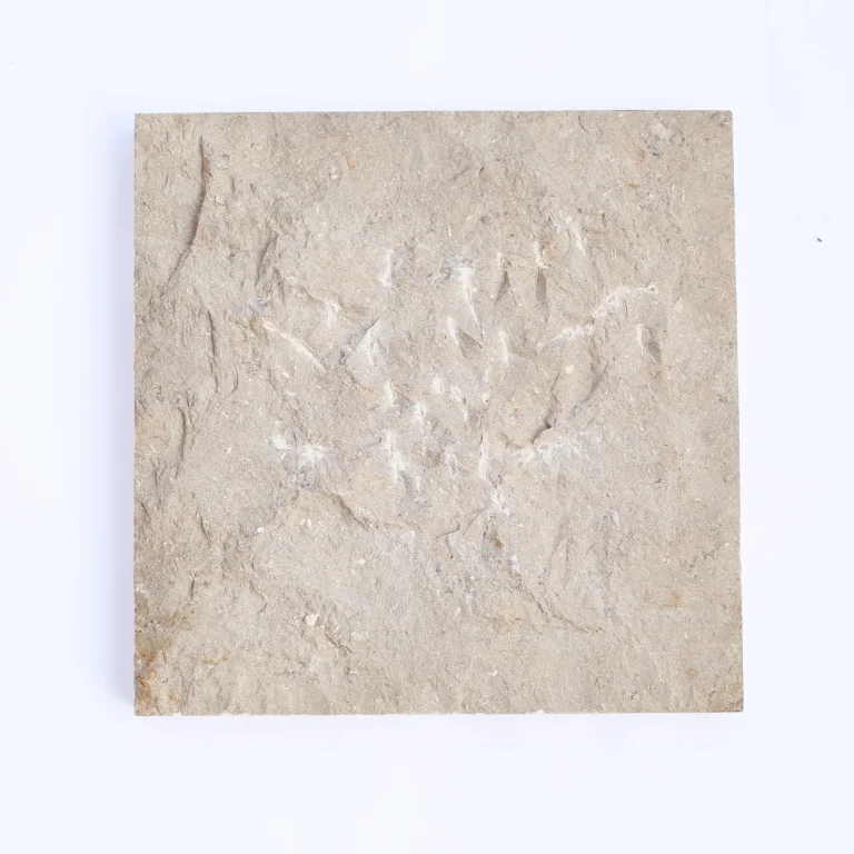 big split face 1.webp