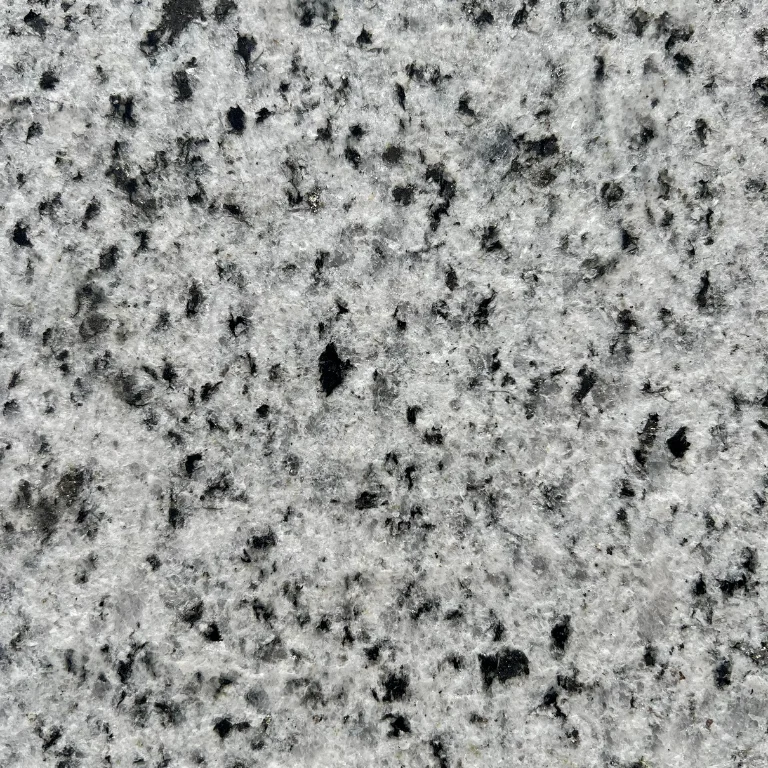 Halayb halayb flamed 1.webp