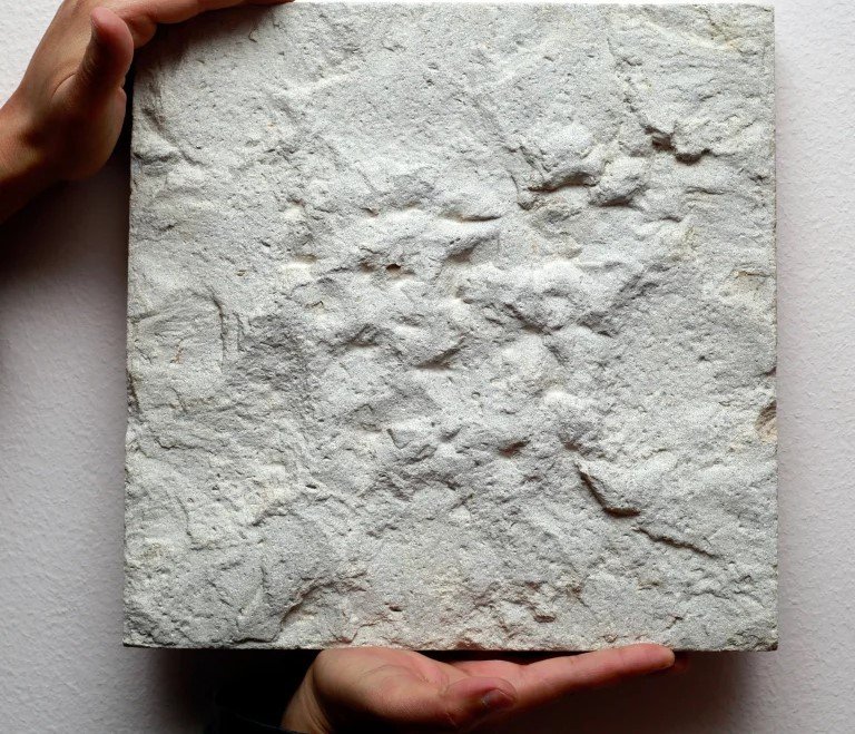 sinai pear split sand plasted.jpg