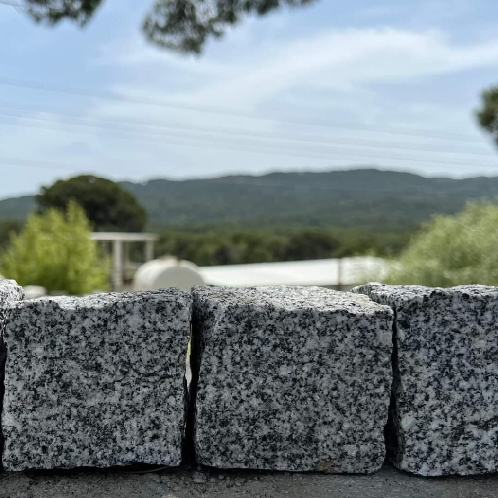 whatsapp image 2024 12 07 at 3.27.30 pm (5)