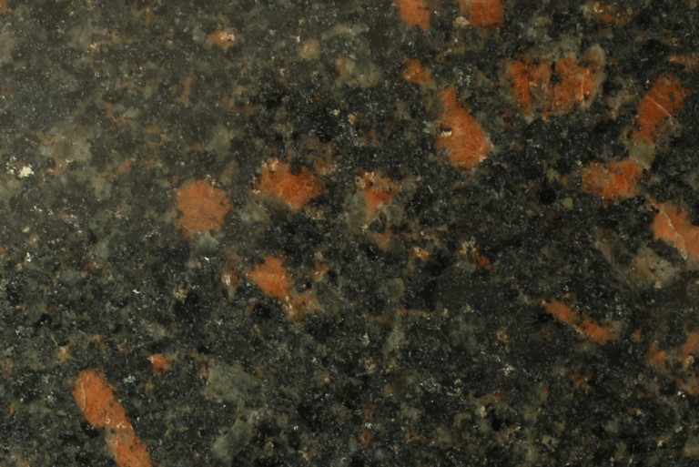 black aswan 1 1536x1025 1.png